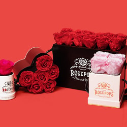Rosepops