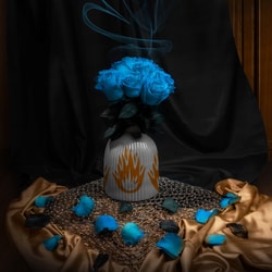 Roses del fuego