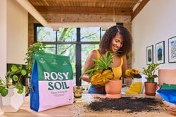 Rosy Soil