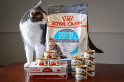 Royal Canin