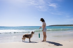 Ruffwear