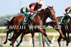 Saikyo Keiba