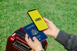 Sakura Mobile