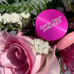 Santa Cruz Shredder