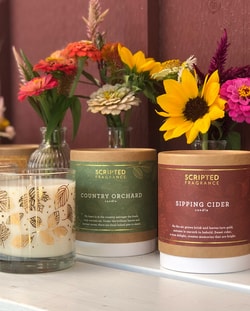 Scripted Fragrance