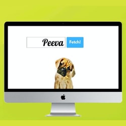 Peeva