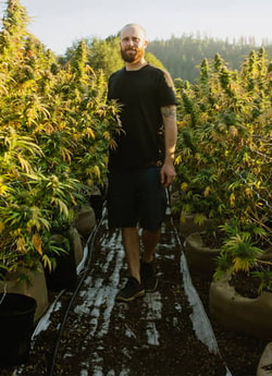 Seedsman