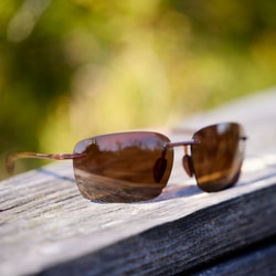 Shady Rays