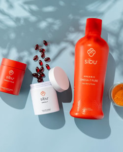 SIBU