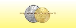 Silver Gold Bull