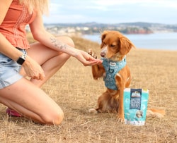 Skipper's Pet Products