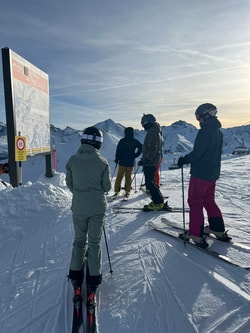 Skisport