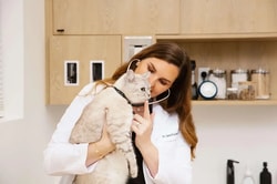Small Door Veterinary