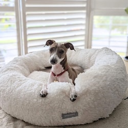 Snooza Pet Products