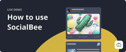 SocialBee