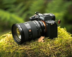 SONY