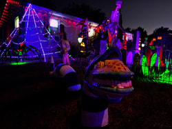 Spirit Halloween