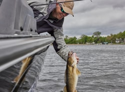 Sportsman's Guide