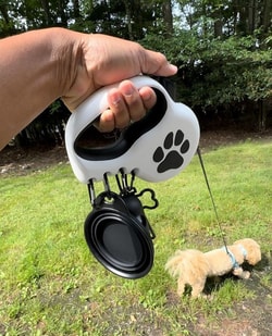 StitchLeash