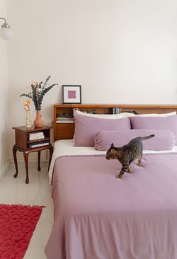 Sunday Bedding