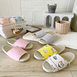 Taiwan Slipper