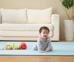 Tammy Shield Mat