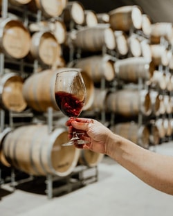 The Australian Wine