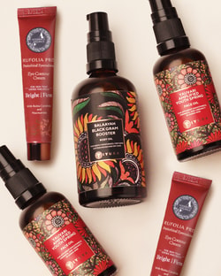 The Ayurveda Experience
