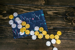 The Balanced Investor Club