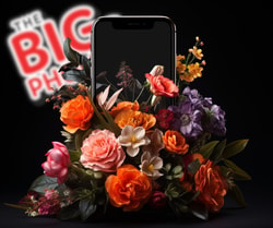 The Big Phone Store