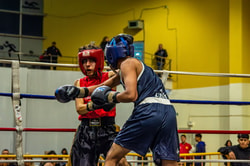 The Boxing Gloves