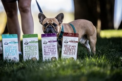 The Granville Island Pet Treatery
