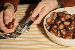 The Great Chestnut Experiment