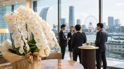 The Happy Orchid Shop