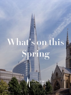 The View from The Shard