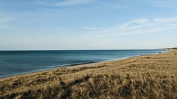 Tourlane