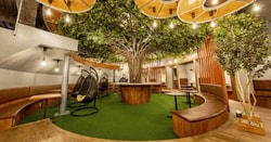 Tree Financial