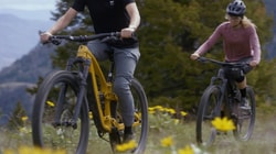 Trek Bikes
