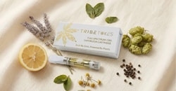 TribeTokes