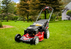 Troy Bilt