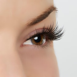 True Beauty Lashes