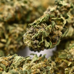 Truth And Right CBD