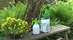 Tuinexpress.be