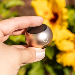 U Speakers