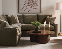 Urban Natural Home