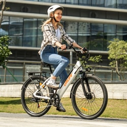 URLIFE eBike