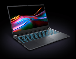 VAIO