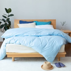 Venus Bed