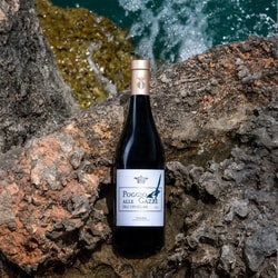 Vino.com