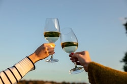 Virgin Wines